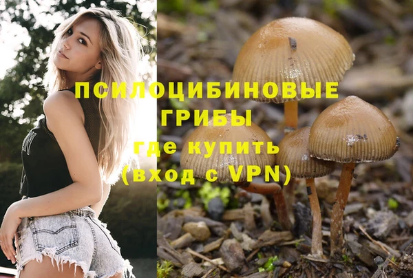 гашик Долгопрудный