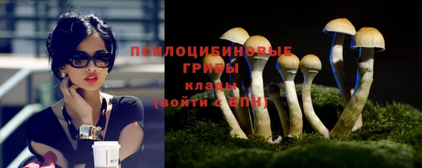 дмт Беломорск
