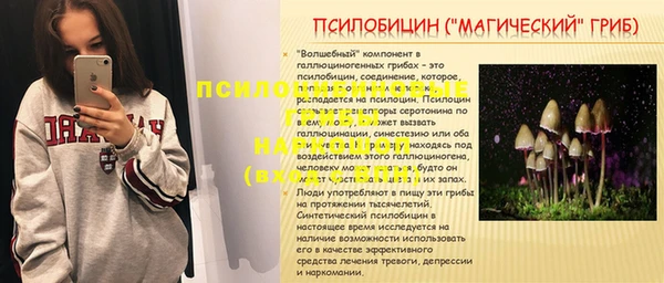 прущий лед Няндома