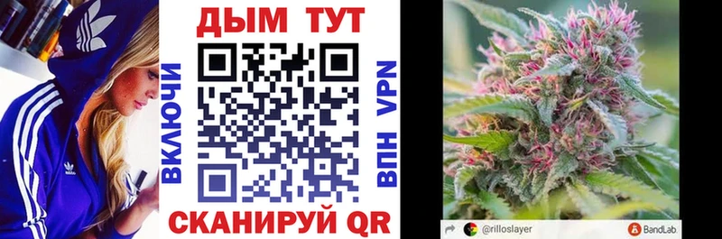 где найти   блэк спрут tor  Каннабис семена  Биробиджан 